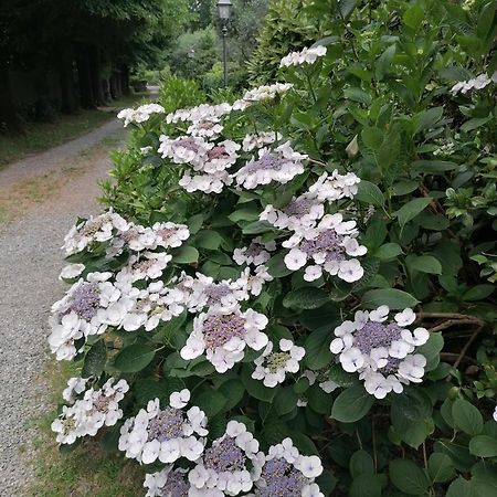 Lavanda Appartamento Vigliano Biellese エクステリア 写真